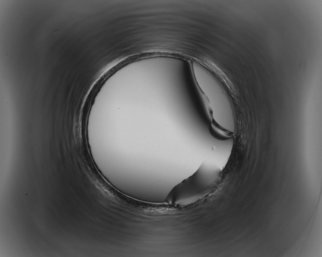 X0000082950884200703020147