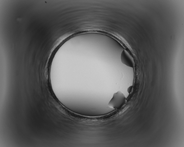 X0000082950885200703020147