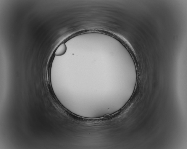 X0000082950887200703020147