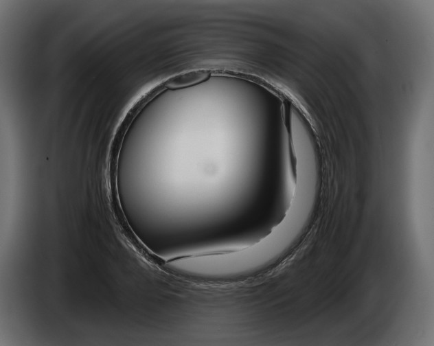 X0000082950888200703020147