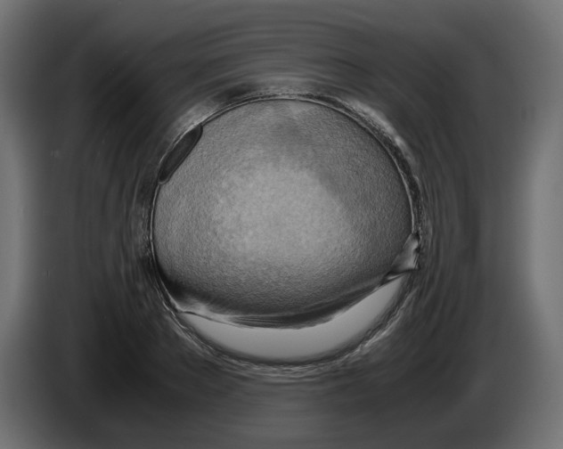 X0000082950889200703020147