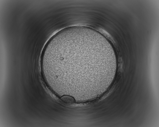 X0000082950892200703020147