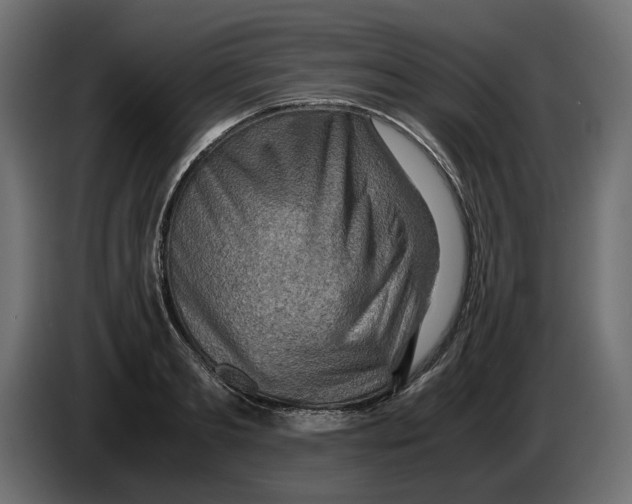 X0000082950893200703020147