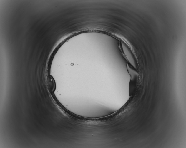 X0000082950894200703020147