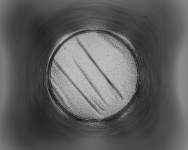 X0000082950895200703020147