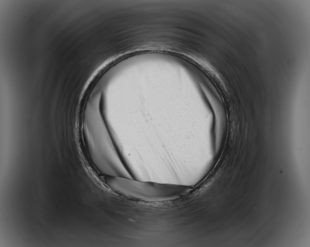 X0000082950896200703020147