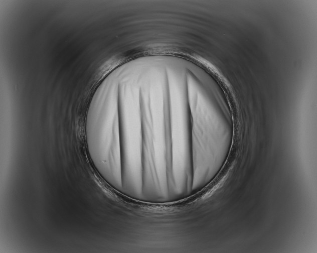 X0000082950897200703020147