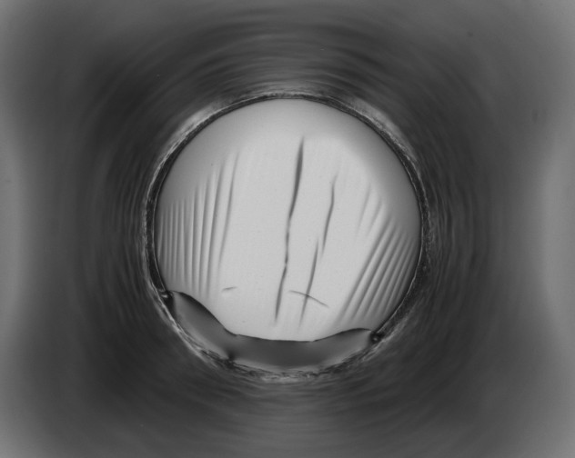 X0000082950898200703020147