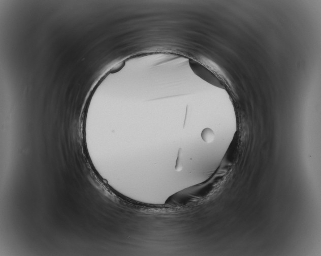 X0000082950900200703020147