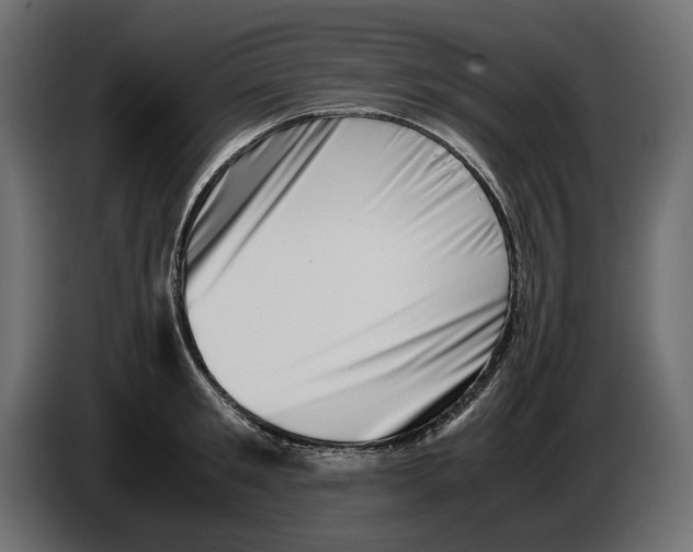 X0000082950901200703020147