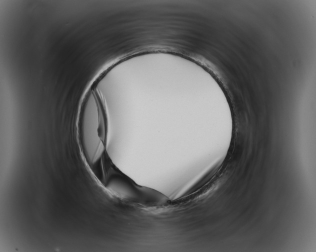 X0000082950902200703020147