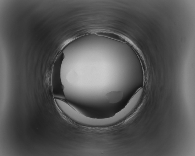 X0000082950905200703020147