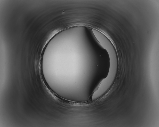 X0000082950906200703020147