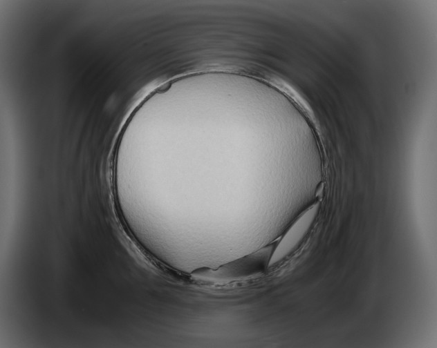 X0000082950907200703020147