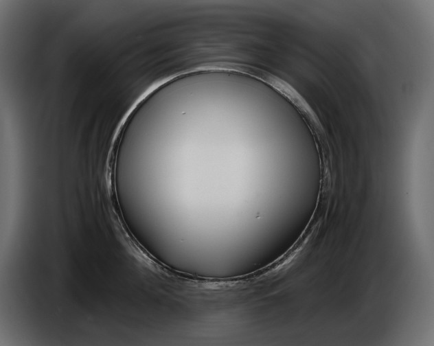 X0000082950908200703020147