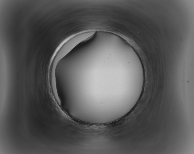 X0000082950912200703020147