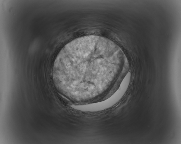 X0000082950913200703020146