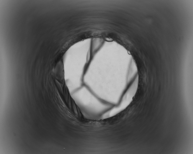 X0000082950914200703020146