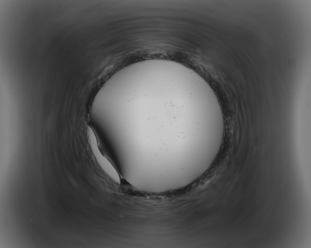 X0000082950916200703020146