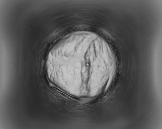 X0000082950917200703020146