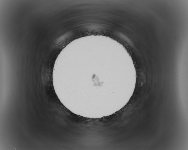 X0000082950918200703020146