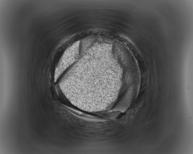 X0000082950919200703020146