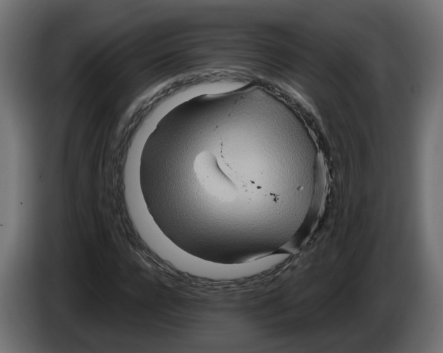 X0000082950920200703020146