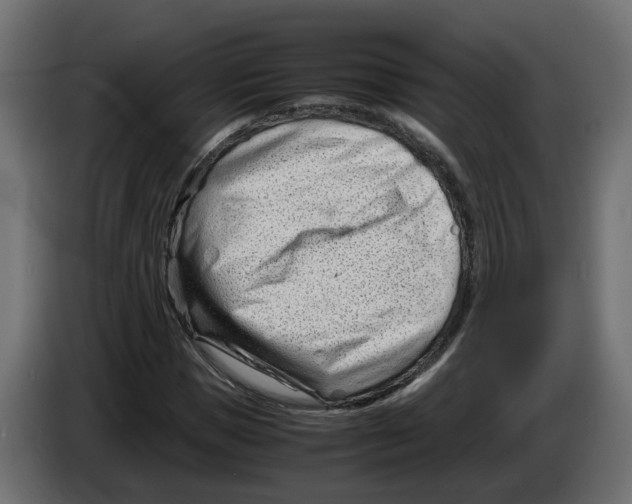 X0000082950921200703020146