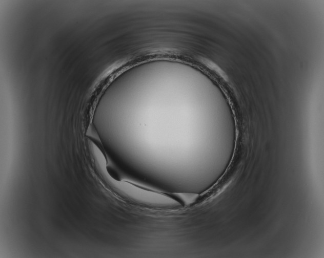 X0000082950922200703020146