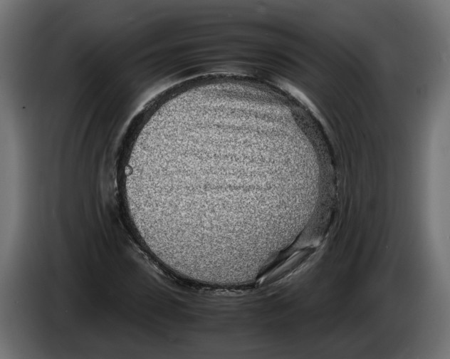 X0000082950923200703020146