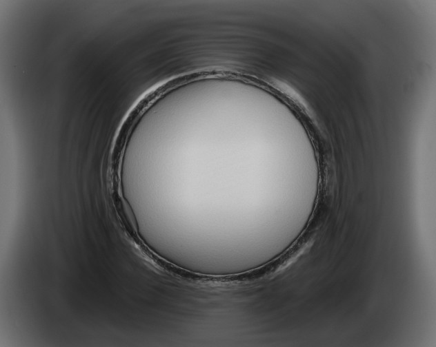 X0000082950924200703020146