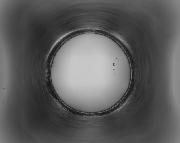 X0000082950926200703020146