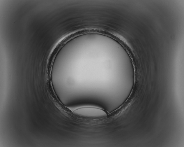 X0000082950927200703020146