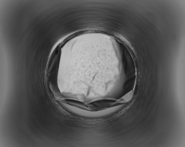 X0000082950928200703020146