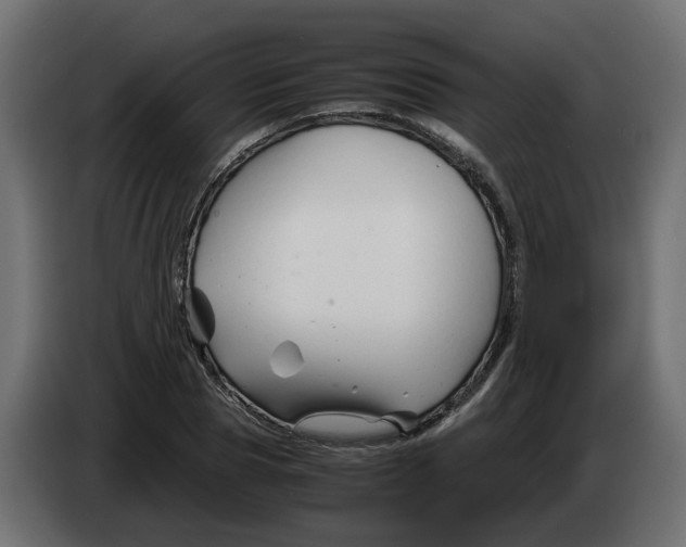 X0000082950929200703020146