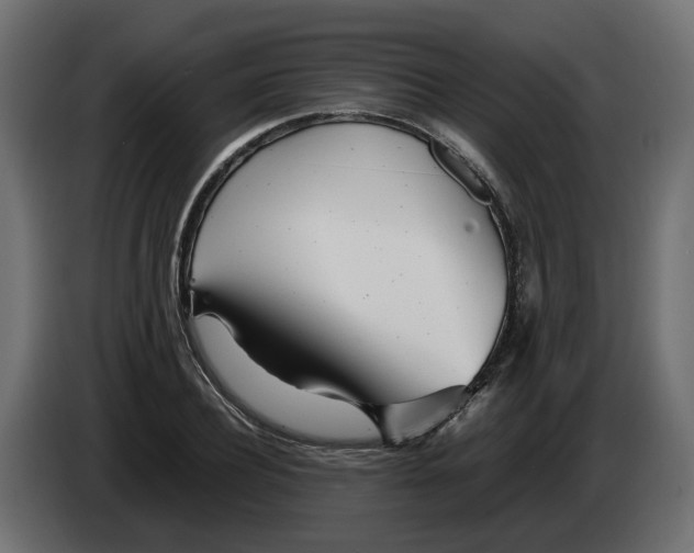 X0000082950932200703020146