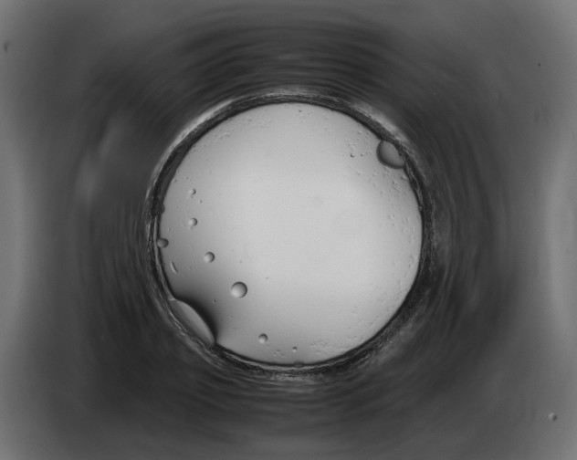 X0000082950933200703020146