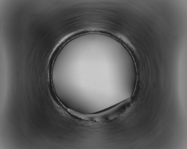 X0000082950934200703020146