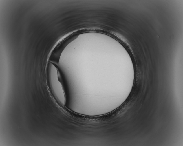 X0000082950935200703020146