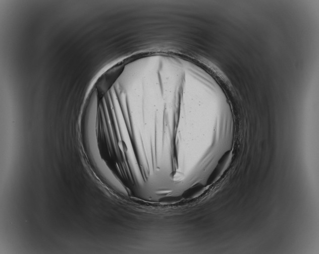 X0000082950936200703020146