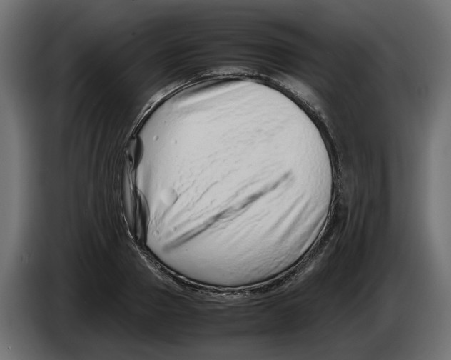 X0000082950937200703020146