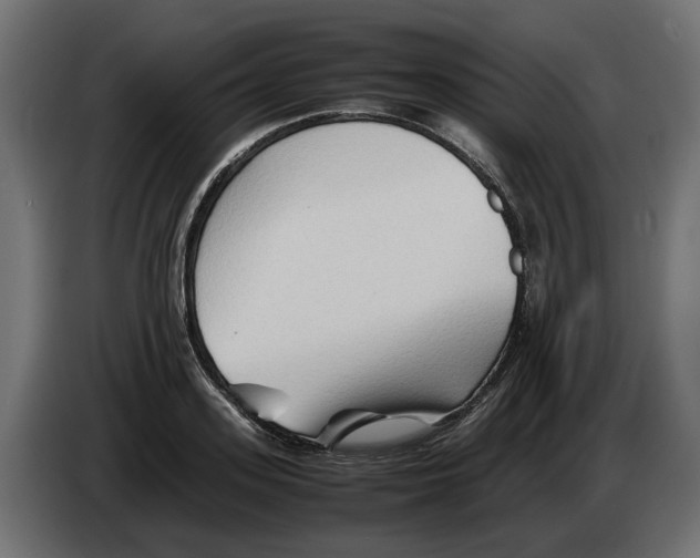 X0000082950939200703020146