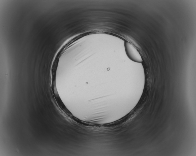 X0000082950940200703020146