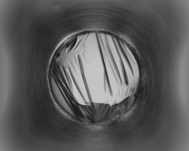 X0000082950942200703020146