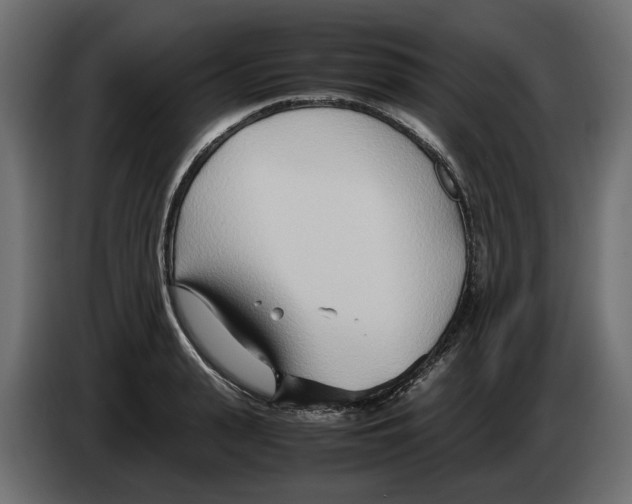 X0000082950943200703020146