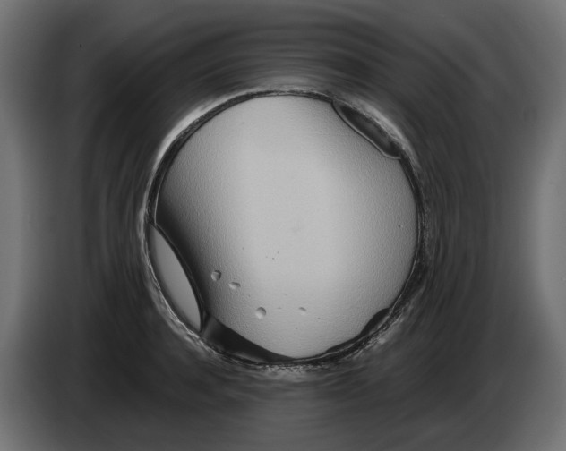 X0000082950944200703020146