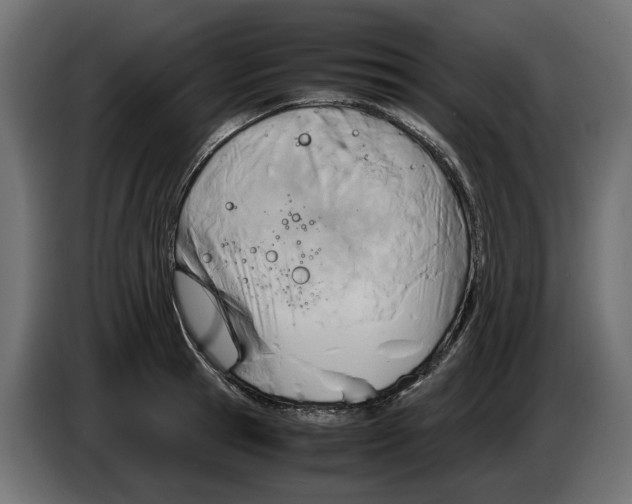 X0000082950945200703020146