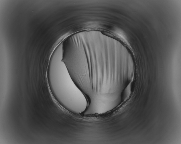 X0000082950946200703020146