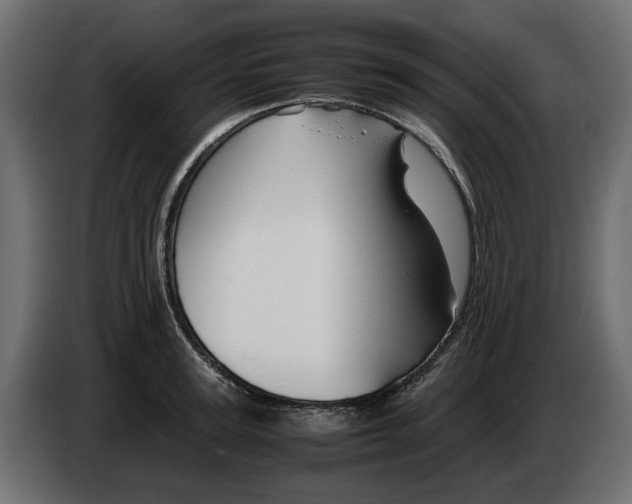 X0000082950947200703020146