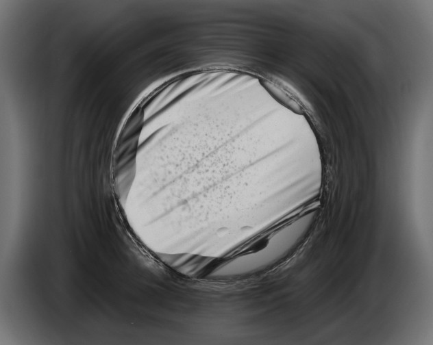 X0000082950948200703020146